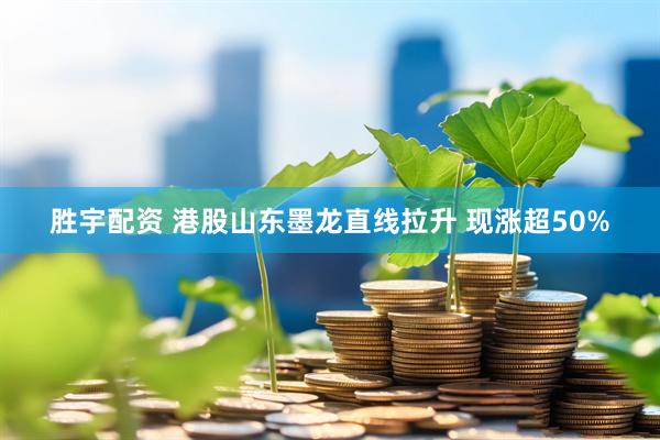 胜宇配资 港股山东墨龙直线拉升 现涨超50%