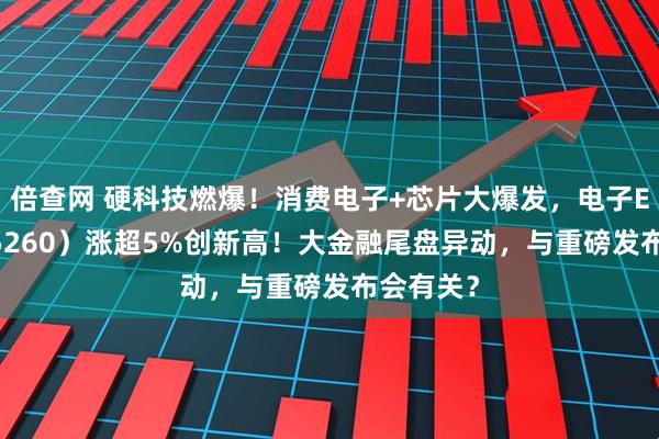 倍查网 硬科技燃爆！消费电子+芯片大爆发，电子ETF（515260）涨超5%创新高！大金融尾盘异动，与重磅发布会有关？