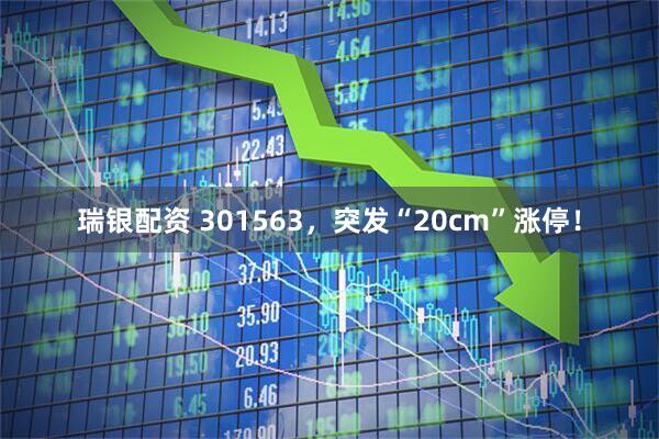 瑞银配资 301563，突发“20cm”涨停！