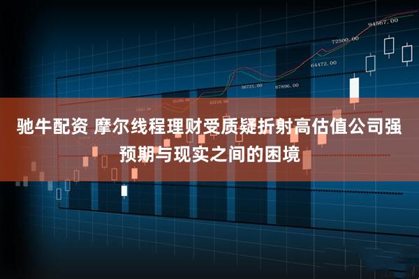 驰牛配资 摩尔线程理财受质疑折射高估值公司强预期与现实之间的困境